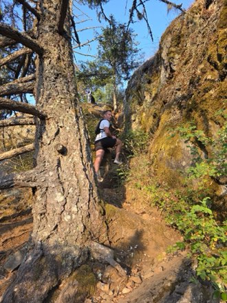 Through the big timber
